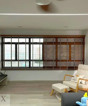 Venetian Blinds