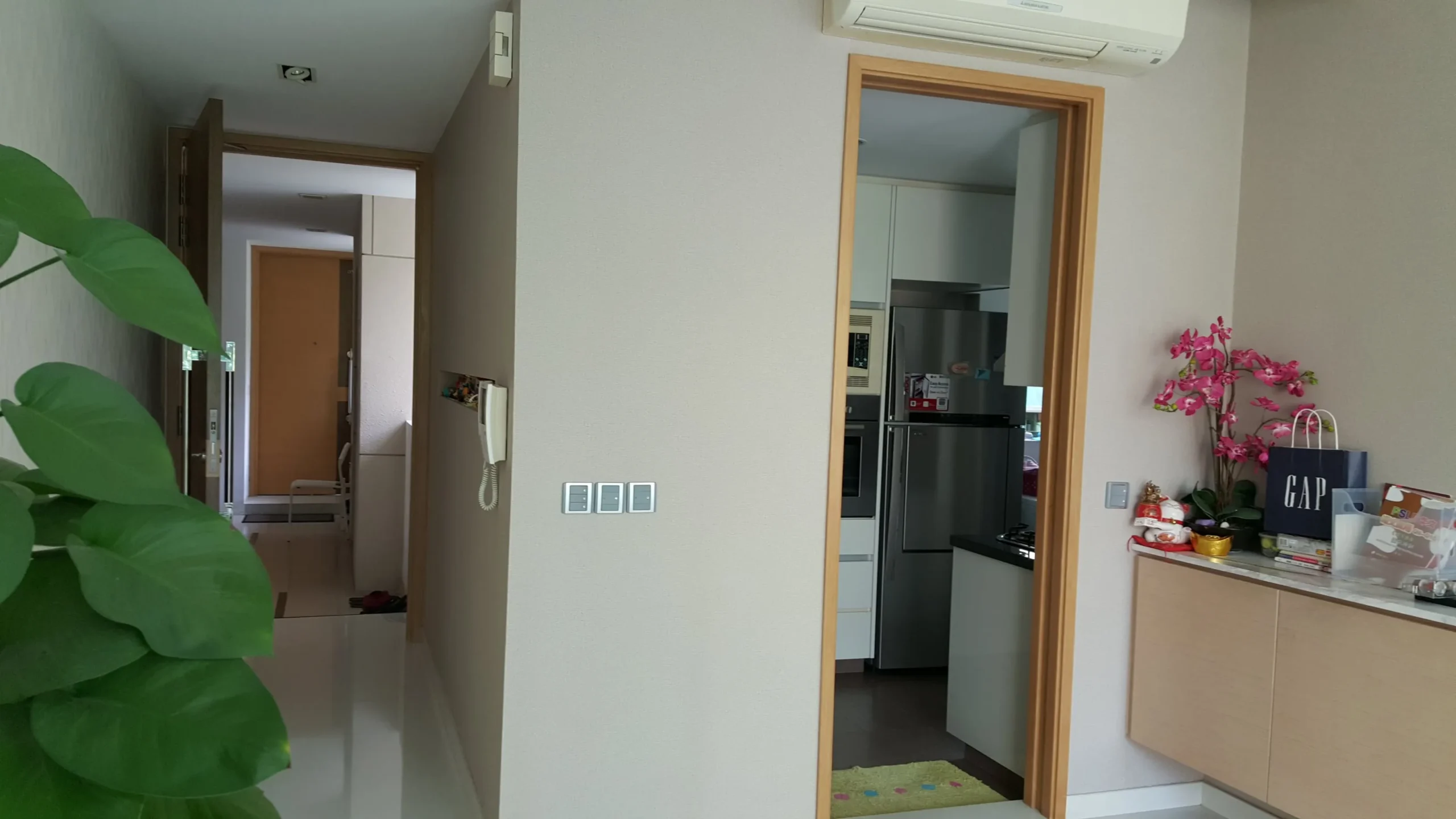 apartment kitchen entrance wall