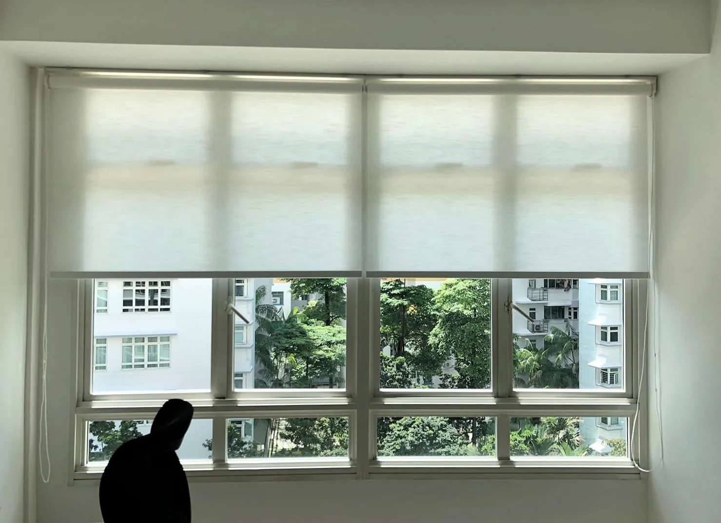 dimout roller blinds 2