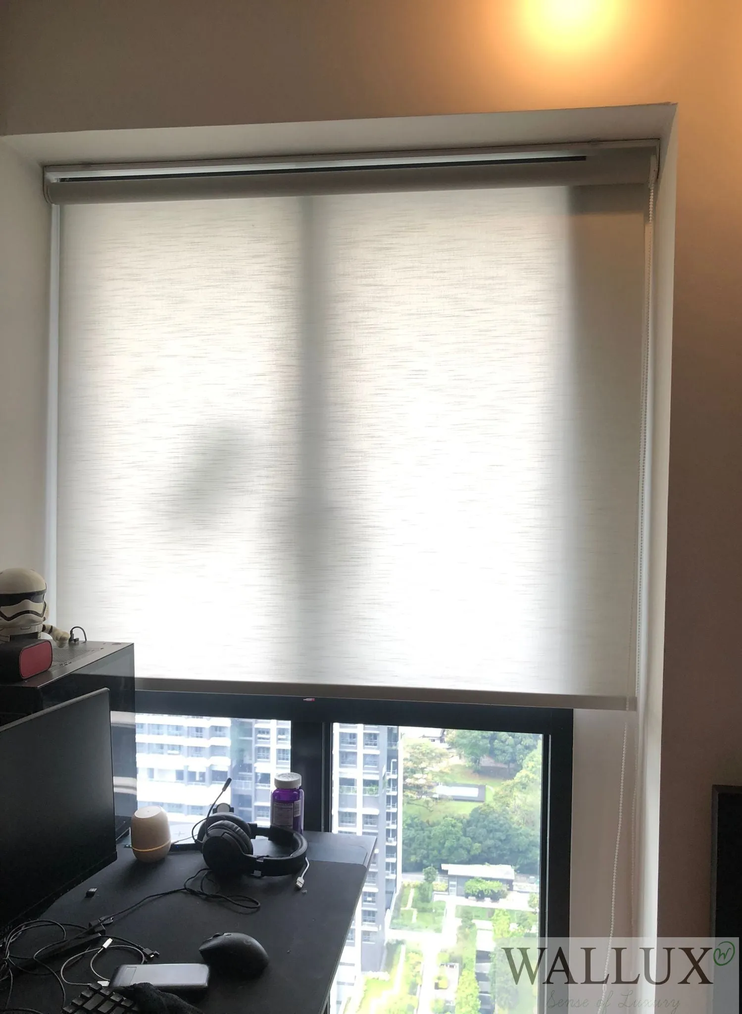 dimout roller blinds