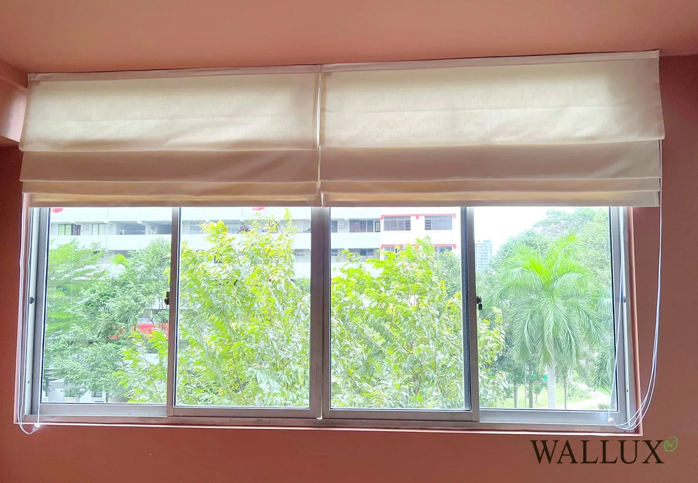 dimout roman blinds hdb window