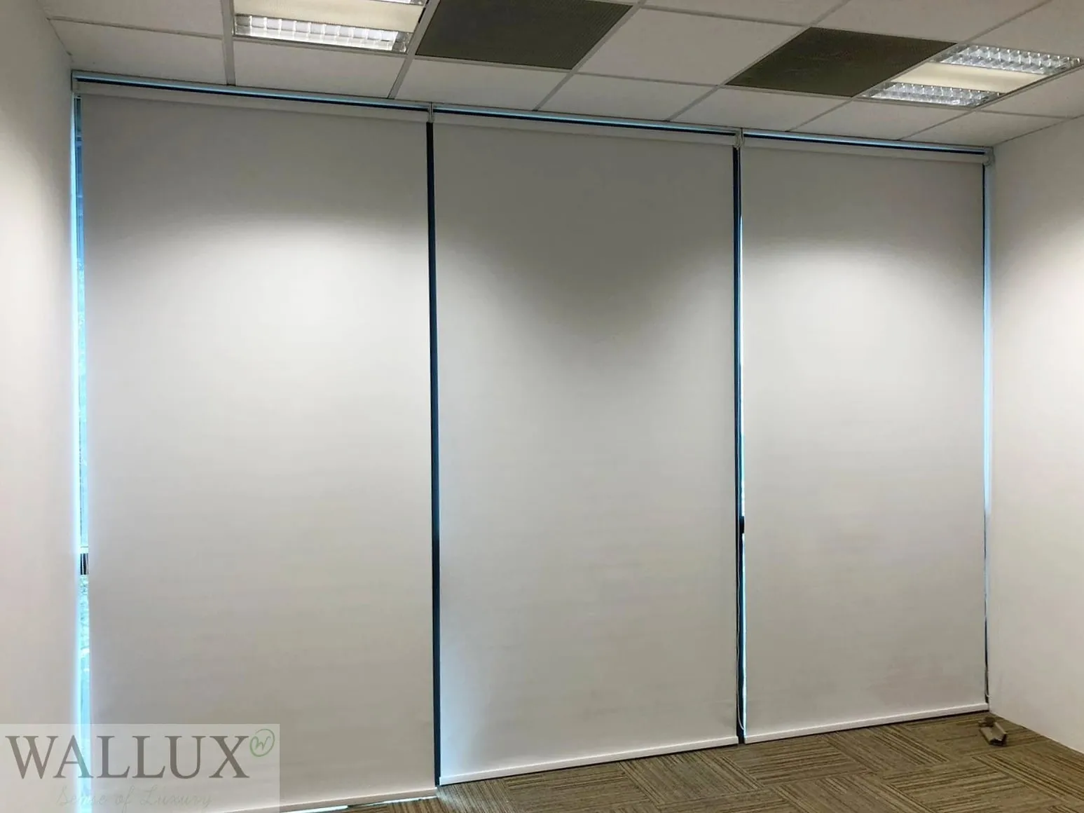 office blackout roller blinds