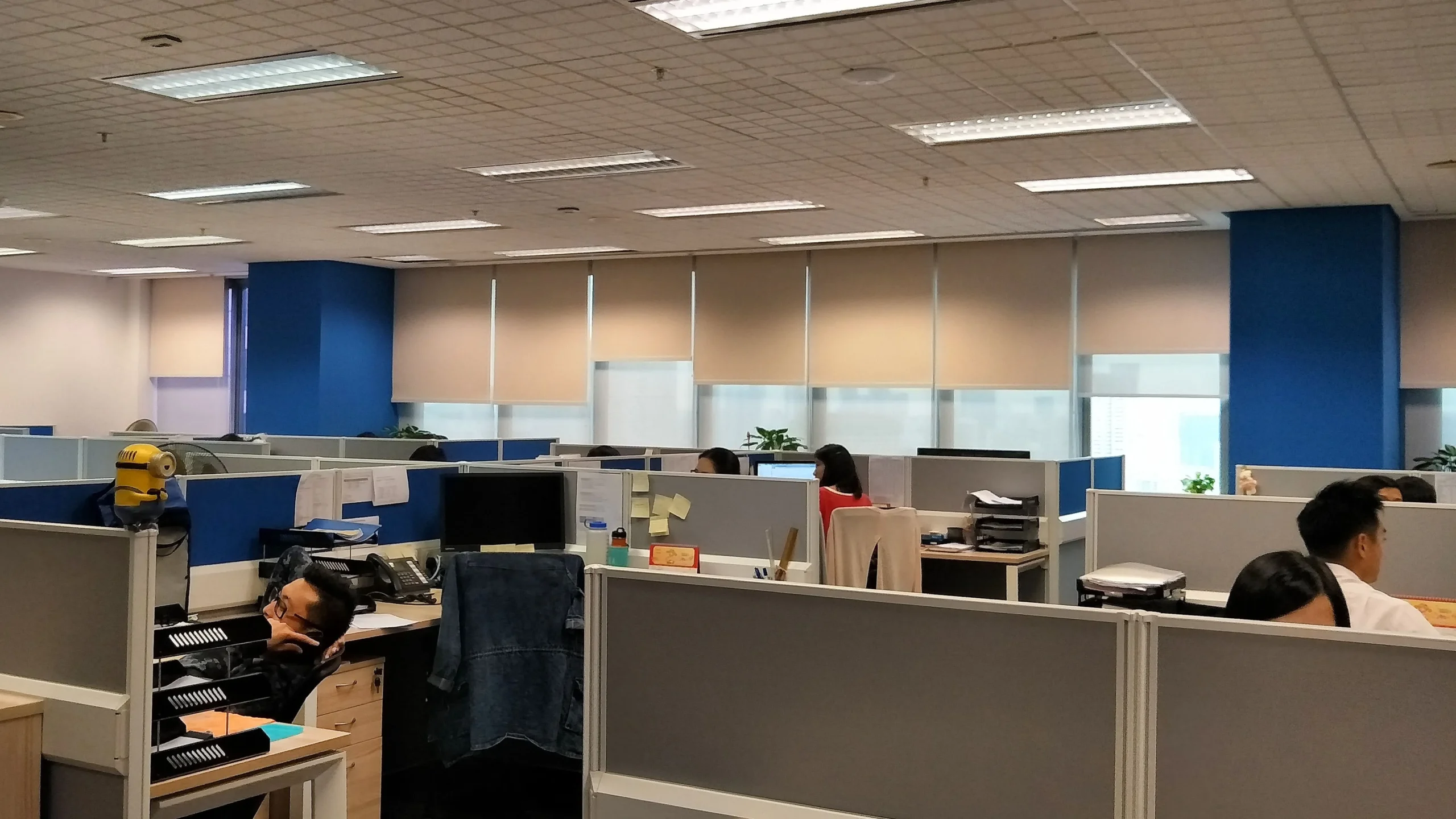 office roller blinds