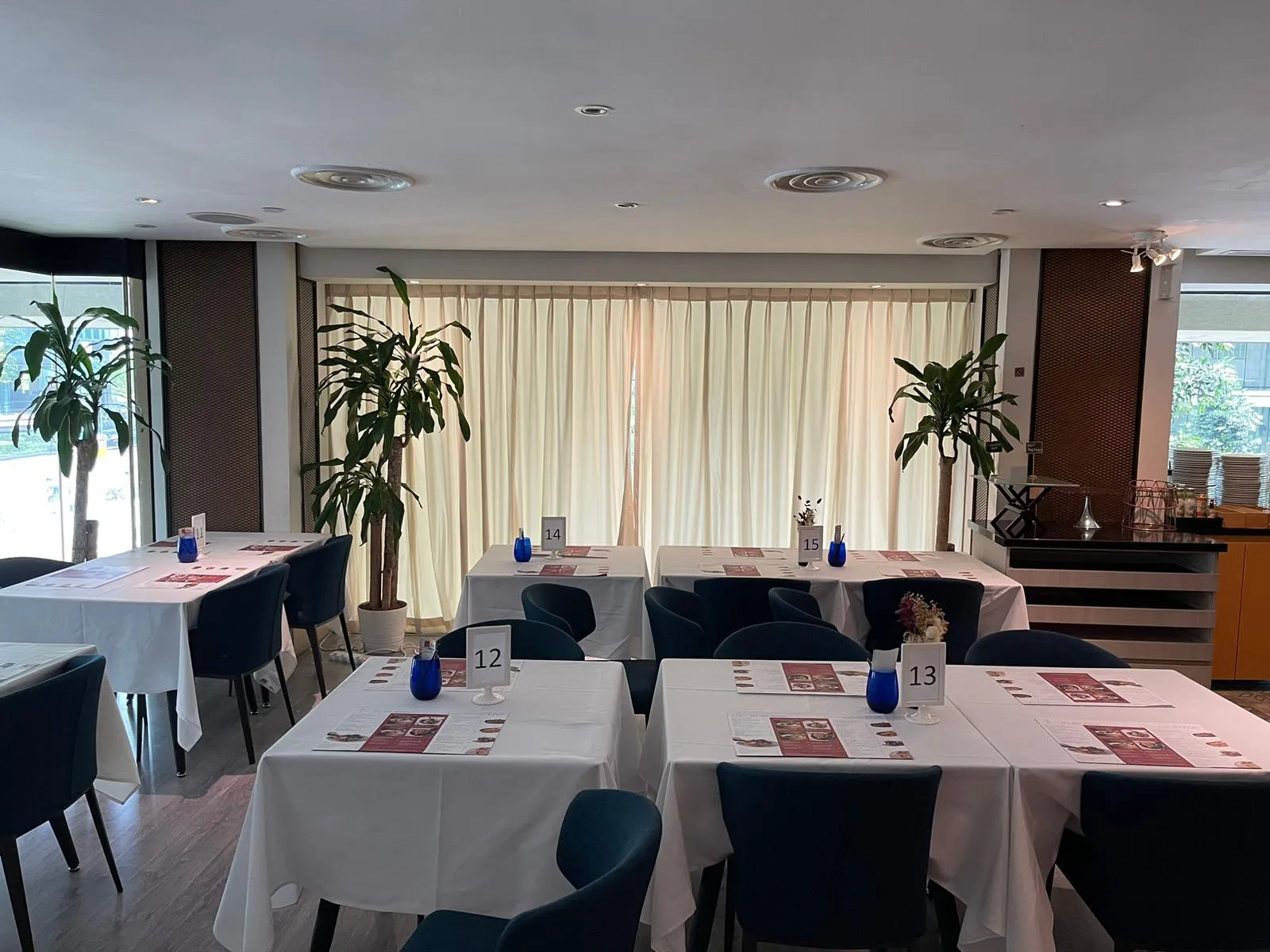 restaurant velvet curtains